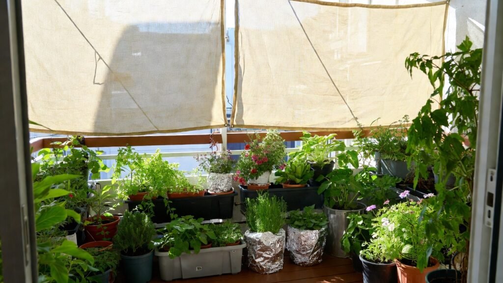 Balcony garden climate tips showing reflective pot covers, shade cloths, and insulated containers to protect container plants from extreme heat and cold.