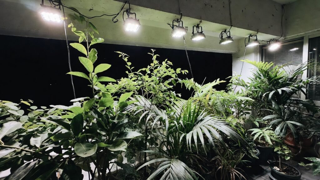Indoor balcony plants under LED grow lights combining natural and artificial light.