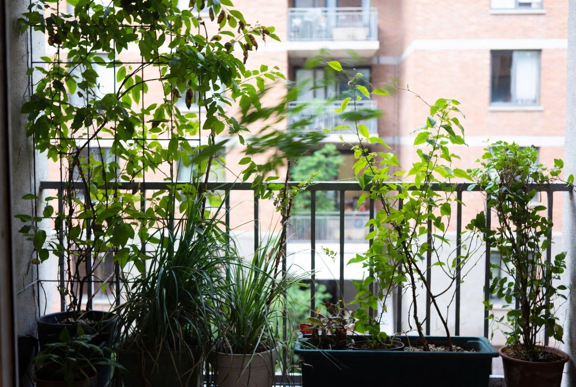Wind Protection for Balcony Gardens