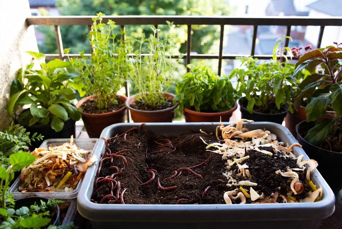 worm composting on a balcony